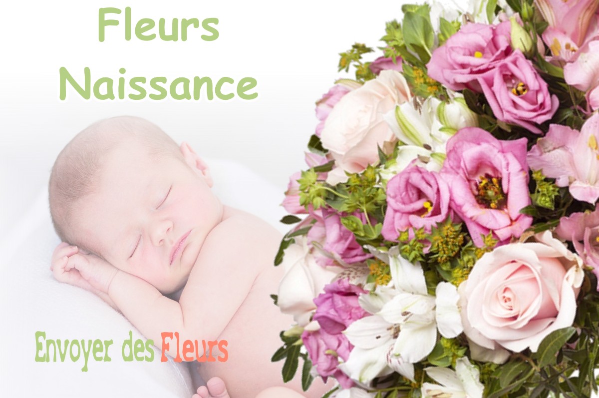 lIVRAISON FLEURS NAISSANCE à LAVALDENS